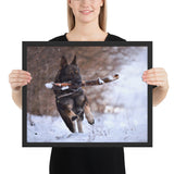 Tableau Berger Allemand Bois en Bouche