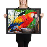 Tableau avec Perroquet Noble