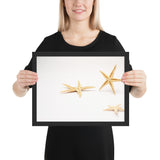 Tableau Animaux Etoile de Mer Sable Blanc