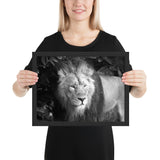 Tableau Lion Noir et Blanc Imposant