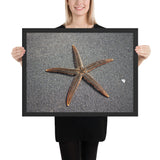Tableau  Etoile de Mer au Sol