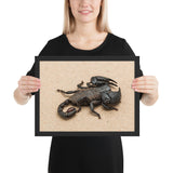 Tableau Scorpion Noir dans le Sable