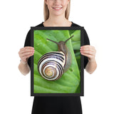 Tableau Escargot mignon