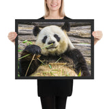 Tableau Panda Repos Grand Format