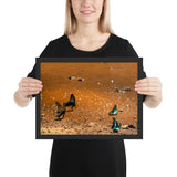 Tableau Animaux Envolée de Papillons