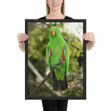 Tableau Perroquet dans la Jungle
