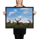 Tableau  Cerf Allongé