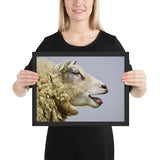 Tableau Animaux de Mouton qui Bêle