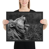 Tableau Lion Noir et Blanc