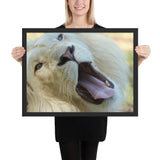 Tableau Lion Blanc Foufou