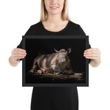 Tableau Rhinocéros Allongé