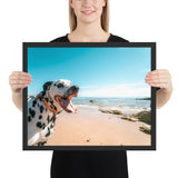 Tableau Dalmatien à la Plage