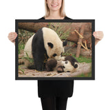 Tableau Panda qui joue avec sa Mère