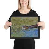 Tableau Animaux Rat Nageant