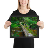 Tableau tropical tronc d'arbre