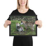 Tableau Animaux Loup Pattes