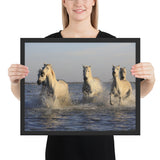 Tableau Chevaux Camarguais dans le Sud