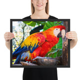 Tableau avec Perroquet Majestueux