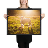 Tableau de Mouton Brebie