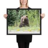 Tableau Ours Montagne