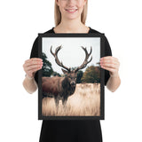 Tableau Animaux Cerf Sauvage