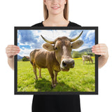 Tableau Design Vache Aubrac