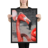 Tableau avec Flamant Rose de Face