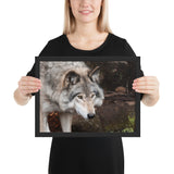 Tableau Animaux Loup Portrait