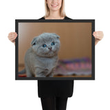 Tableau Chat Rigolo Mignon