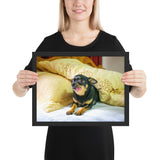 Tableau Petit Chihuahua Rigolo