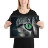 Tableau tête de chat yeux verdatres