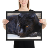 Tableau  Panthère Noire Tachetée