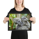 Tableau Koala Grissé