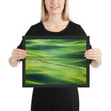 Tableau champs de Thé