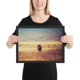 Tableau Animaux Lion Marchant