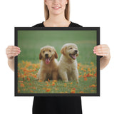Tableau Chiot Golden