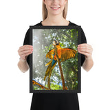 tableau déco oiseau sur branche