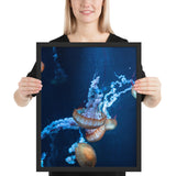 Tableau de Méduse à la Tête Orange