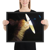 Tableau chat rigolo qui joue avec la lumière