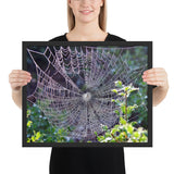 Tableau Toile d'araignée Vieille