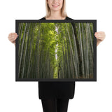 Tableau bambou la forêt vierge