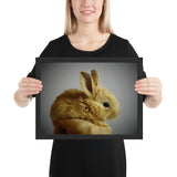 Tableau Lapin bébé au Pelage Roux