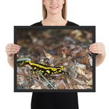 Tableau Salamandre Jaune et Noir
