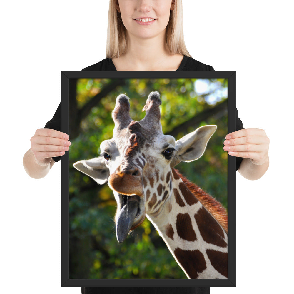 Tableau Tête de Girafe