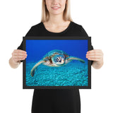 Tableau Tortue XXL