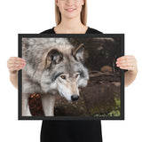 Tableau  Loup dans les bois