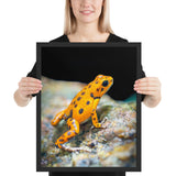 Tableau Grenouille Orange Safran aux Taches Noires