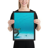 Tableau Tortue Marine Grosse Carapace