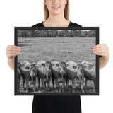 Tableau avec Vaches Noir et Blanc En Rang