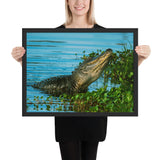 Tableau Crocodile & Marécages